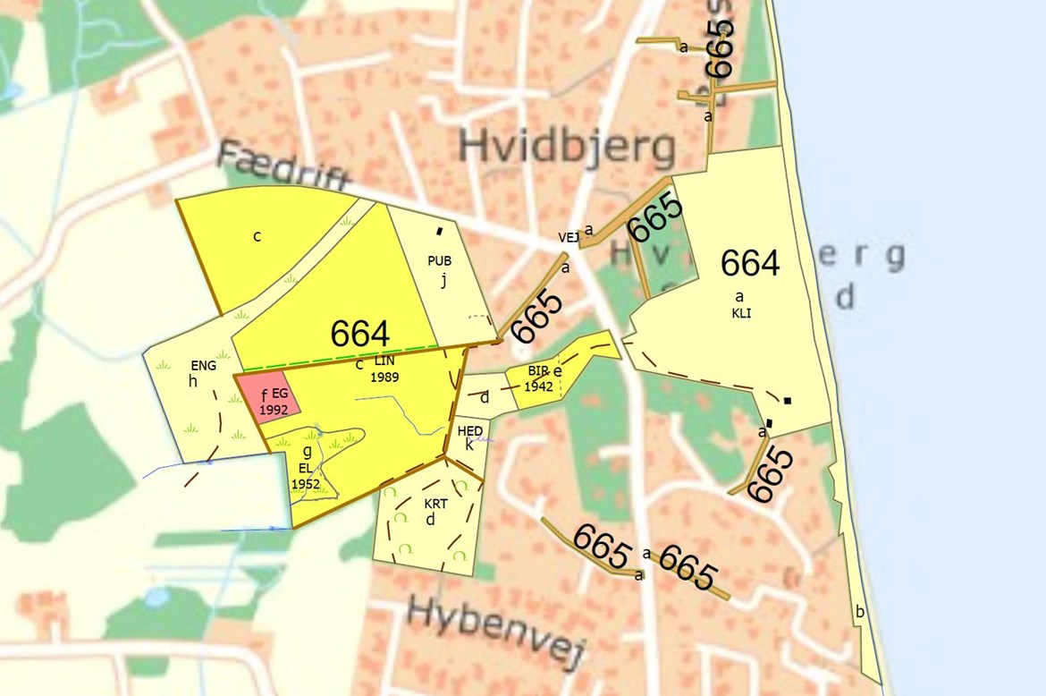 Udsnit af Naturstyrelsen's skovkort
