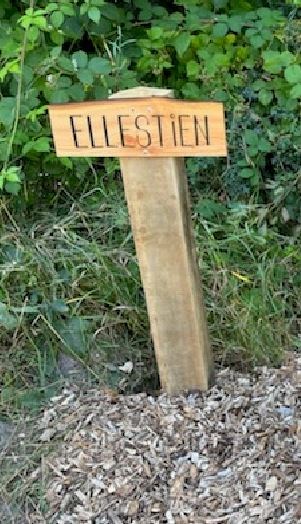 Ellestien. Foto: Gårslev Lokalråd
