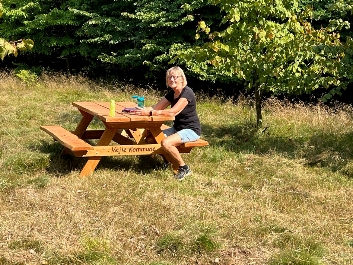 Lysningen i skoven. Foto: Gårslev Lokalråd